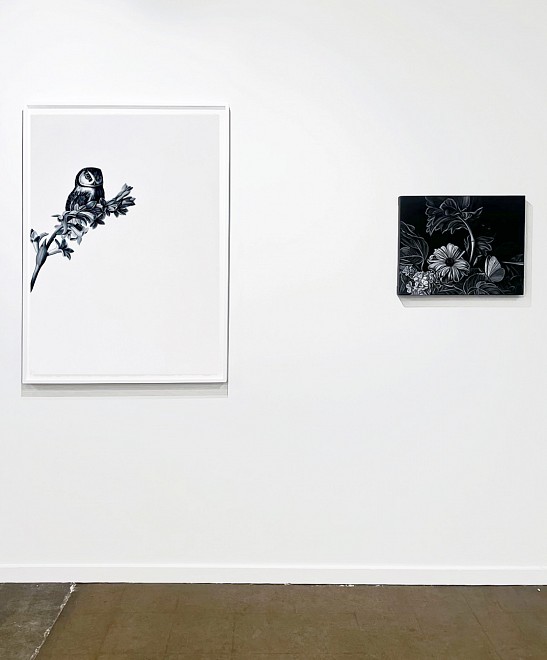 Dallas Art Fair 2025 - Installation View