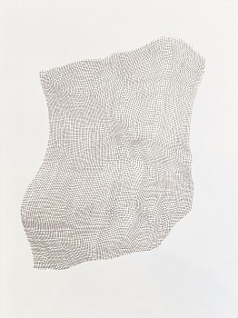 Karin Schaefer (LA) - Evince, 2024 ink on paper 30 x 22 inches SCHAE147