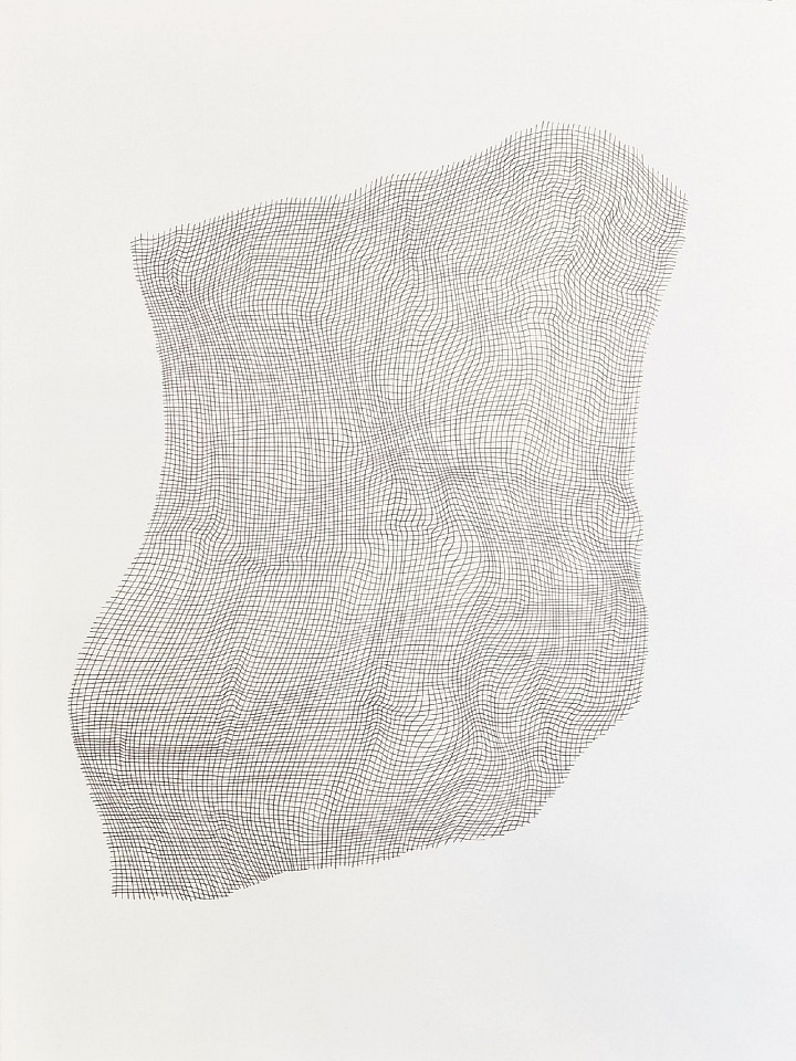 Karin Schaefer (LA)
Evince, 2024
SCHAE147
ink on paper, 30 x 22 inches