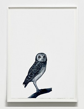 Work:&nbsp;Poised, 2025 oil on paper 41 1/2 x 29 1/2 inches / 45 x 34 inches framed ree331