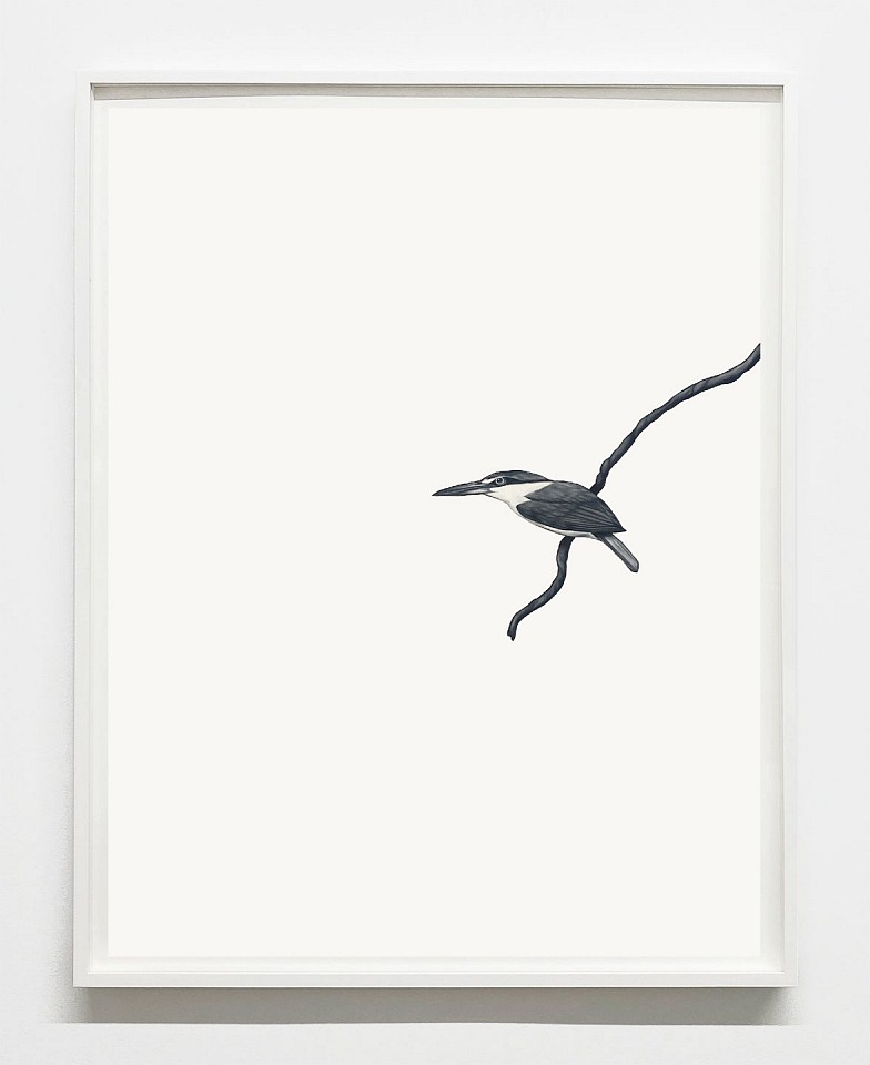 Shelley Reed
Kingfisher, 2024
REE294
oil on paper, 30 x 22 inches