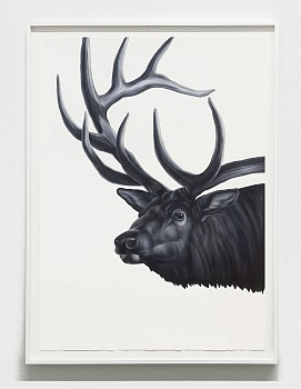 Shelley Reed -&nbsp;Bull Elk (after Ringius), 2023 oil on paper 41 1/2 x 29 1/2 inches REE283