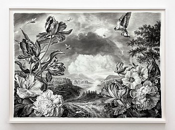 Work:&nbsp;Rick Shaefer Three Dragonflies, 2025 charcoal on vellum 50 x 65 inches shaef128