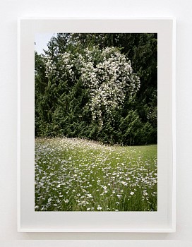Work:&nbsp;Susanna Howe Brampton Bryan, 2025 c-print Brampton Bryan, 2025    Edition of 9  c-print 39 &frac12; x 26 &frac12; inches image /  44 &frac34; x 31 &frac34; inches print /  45 &frac34; x 32 &frac34; inches framed HOWE014