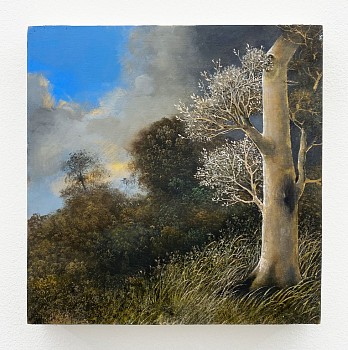 Eileen Murphy -&nbsp;Beckon, 2025 oil on panel 8 x 8 inches MURPH051