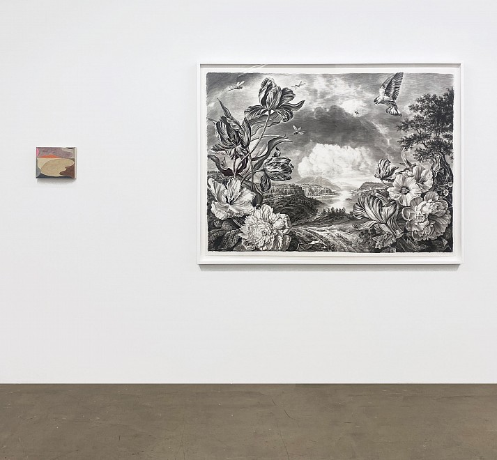 Far Afield  - Installation View