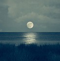 Thomas Hager, Night Blues Moonlight
2025, archival pigment print