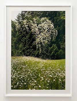 Exhibition: Plein Air,&nbsp;Susanna Howe