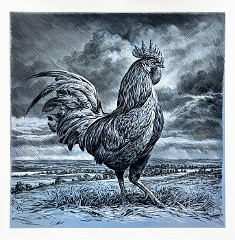 Rick Shaefer -&nbsp;Rooster 3, 2025 charcoal, acrylic, gesso, and gouache on gessoed vellum 34 x 34 inches shaef131