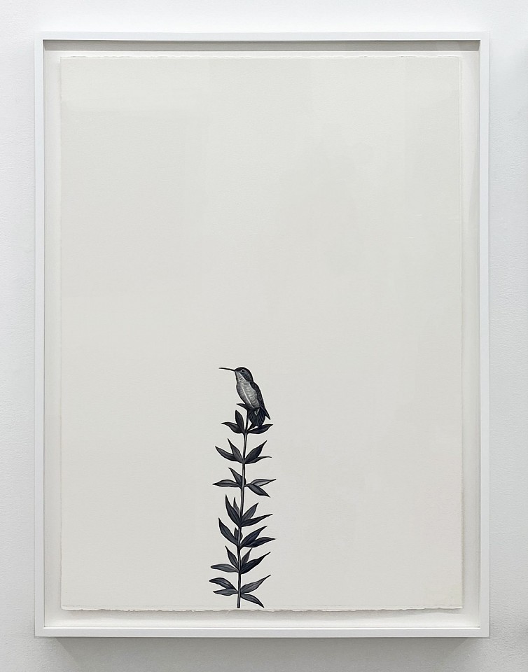 Shelley Reed
Scout, 2026
ree369
oil on paper, 41 1/2 x 29 1/2 inches / 45 x 34 inches framed