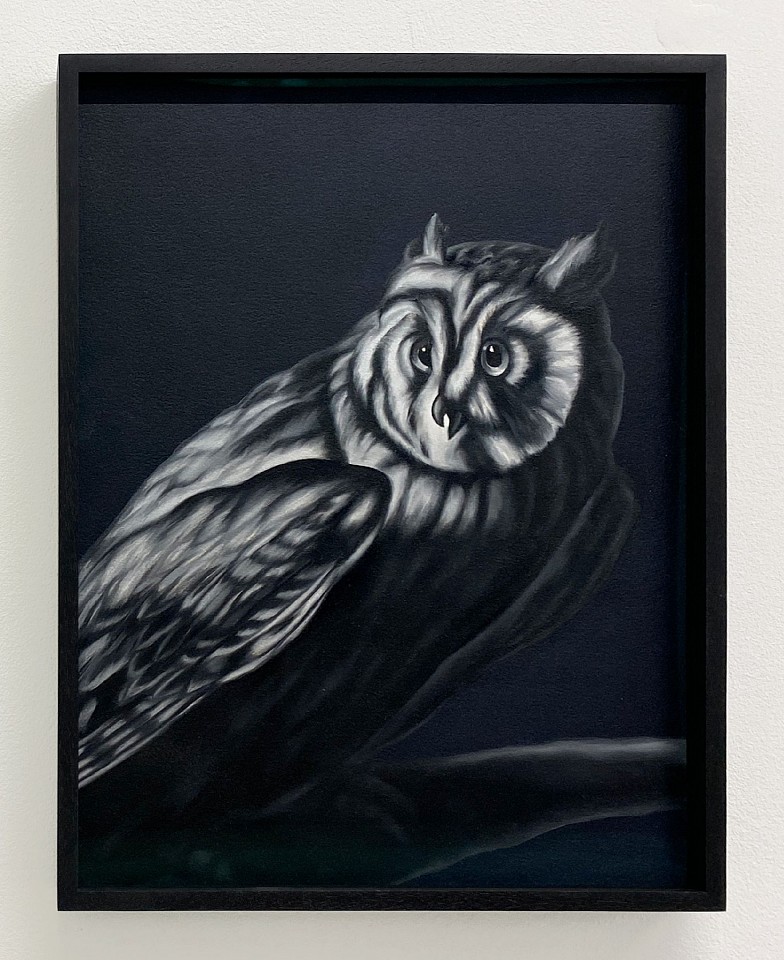 Shelley Reed
Alert (after Duranti), 2024
ree375
oil on paper, 16 x 12 inches / 16 1/2 x 12 1/2 inches framed