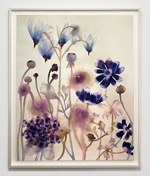 Work:&nbsp;Lourdes Sanchez Anemone, Ranunculus, Hydrangea and Mountain Shooting Star, 2026 ink, watercolor and pencil on paper 55 x 43 inches SANCH1084