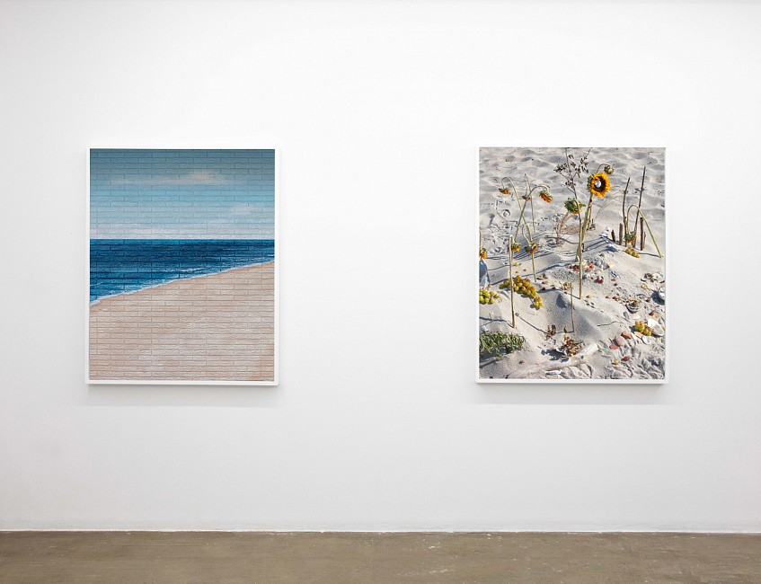 Current Exhibition: Still Land May  9 - May 30, 2026