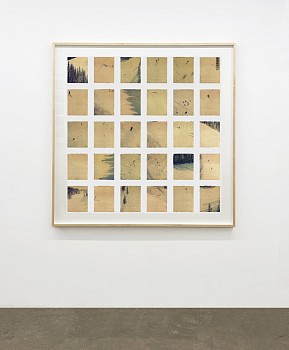 John Huggins -&nbsp;Aspen Ajax #1, edition of 19, 1996 K-3 pigment print 61.5 X 60 inches HUGG427