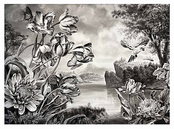Rick Shaefer -&nbsp;Tulips, Parrot, and Dragonfly, 2026 charcoal on vellum 42 x 57 inches shaef133