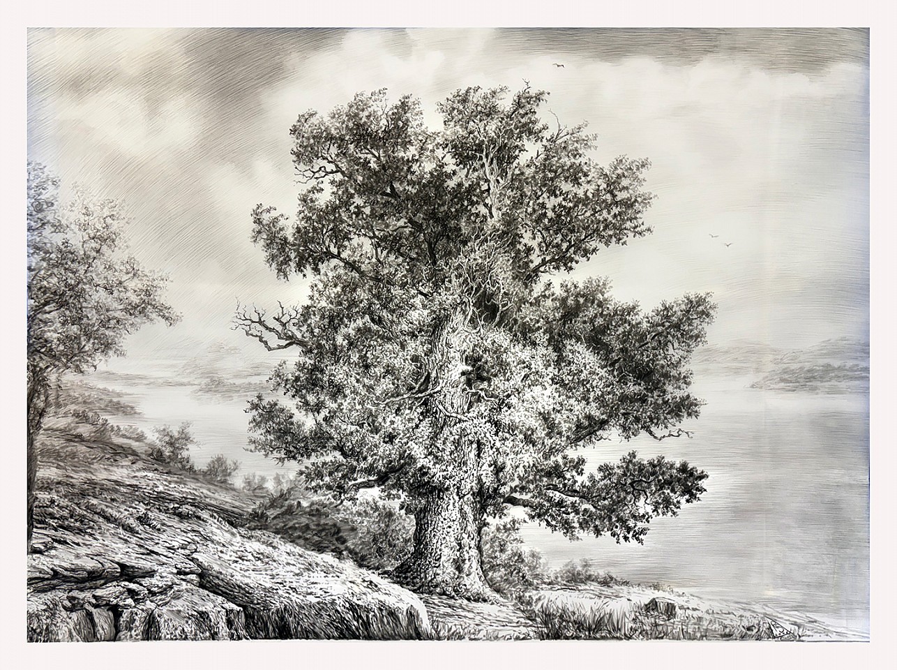 Rick Shaefer
Lone Oak with Distant Shore, 2026
SHAEF133
charcoal on vellum, 53 1/2 x 70 inches